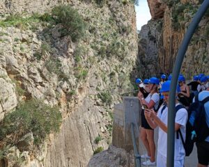 Ksztalcenie zawodowe 2022-2023 15